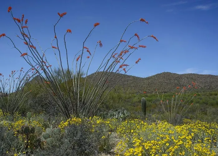 A Spectacular Retreat With Amazing Mountain Views! Apartamento Tucson