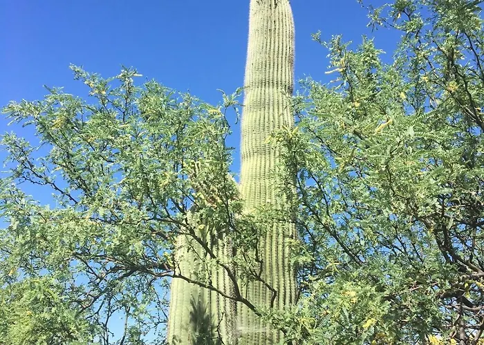 A Spectacular Retreat With Amazing Mountain Views! * Tucson